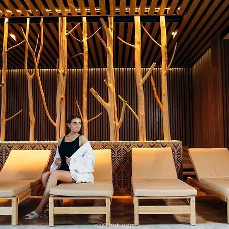 Hotel Morva Premium
