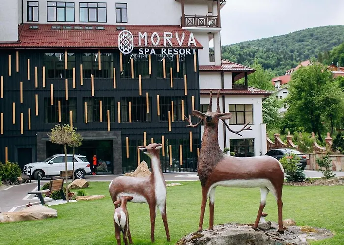 Отель Morva Premium